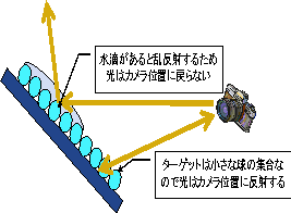 gpC[W